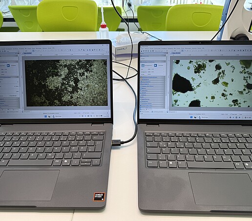 Zwei aufgeklappte Laptops stehen nebeneinander auf einem Tisch.