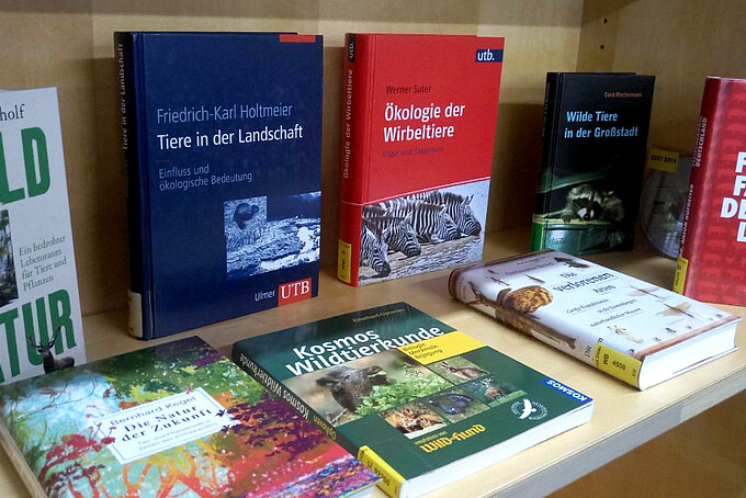 Buchempfehlungen im Regal