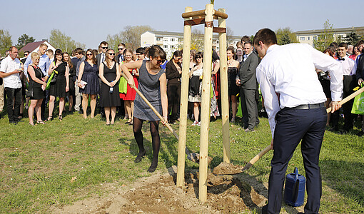 Baumpflanzung im Studentenpark